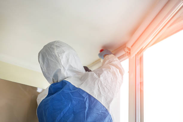 Best Forensic Mold Investigation  in Gower, MO