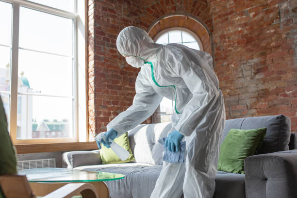 Best Mold Remediation for Healthcare Facilities  in Gower, MO