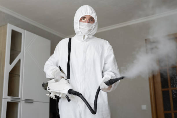 Best Emergency Mold Remediation  in Gower, MO