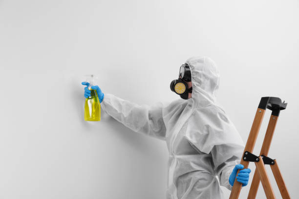 Best Mold Prevention Services  in Gower, MO